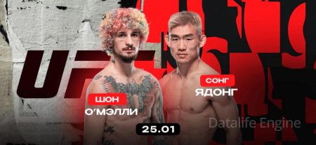 شان اومالی در مقابل سونگ یادونگ